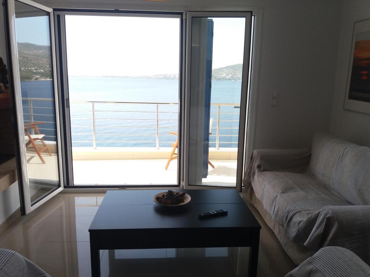 Thalassa بيرديكا المظهر الخارجي الصورة