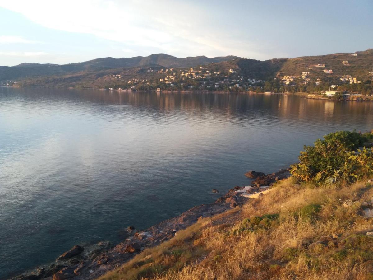 Thalassa بيرديكا المظهر الخارجي الصورة